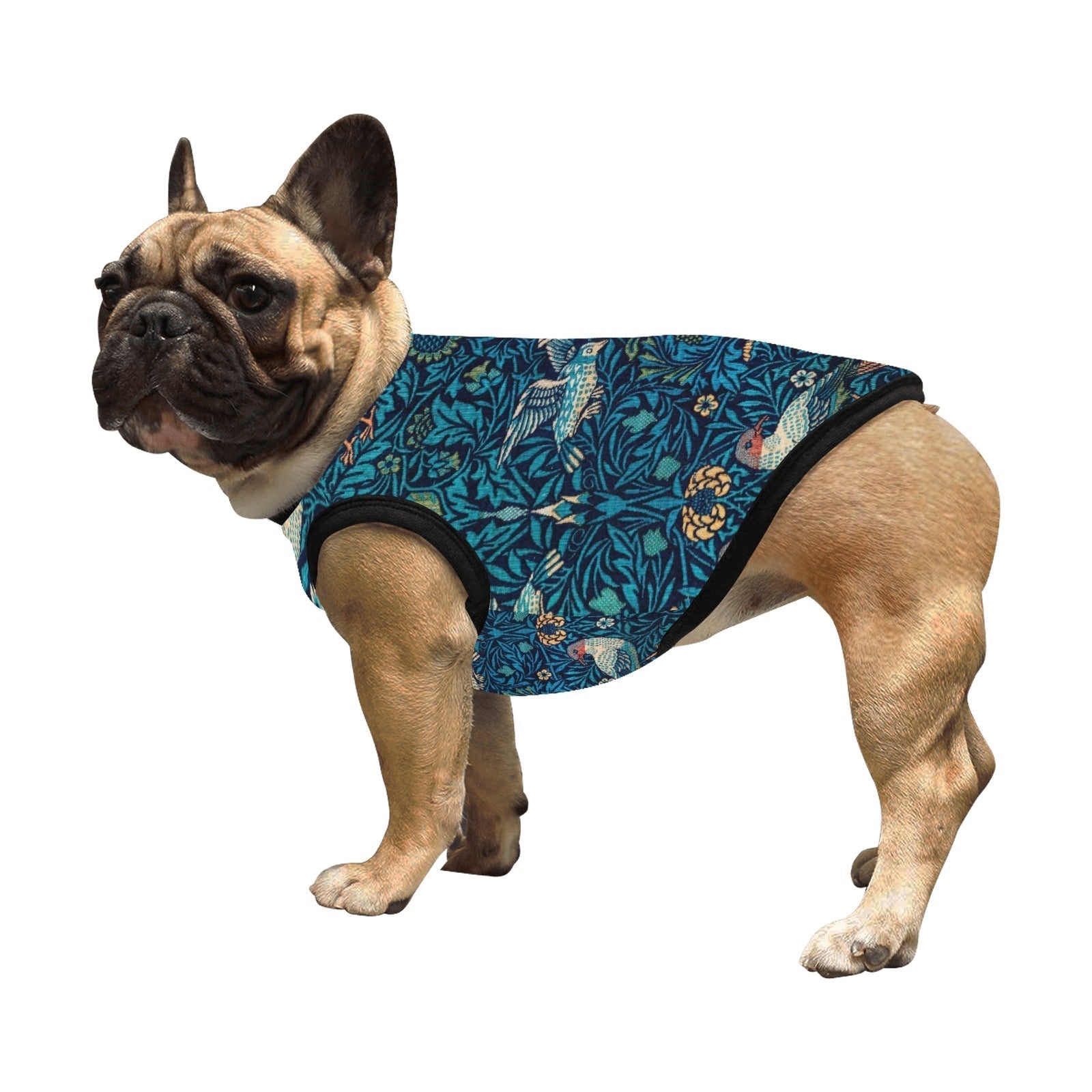 Pet Supply Product | The Finest Market