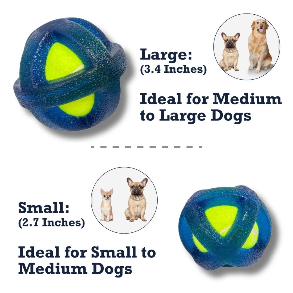 TPR-Coated Agility Tennis Ball Dog Toy – Pet-Safe Play