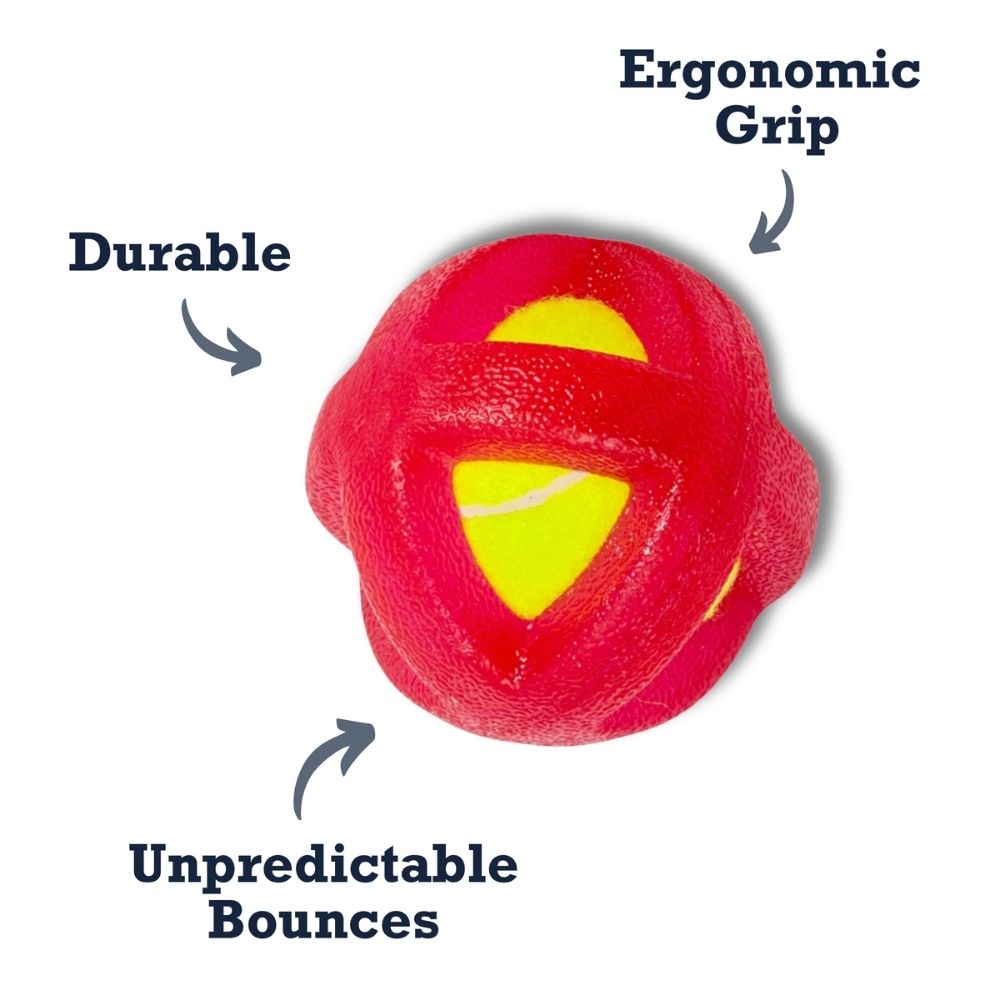 TPR-Coated Agility Tennis Ball Dog Toy – Pet-Safe Play