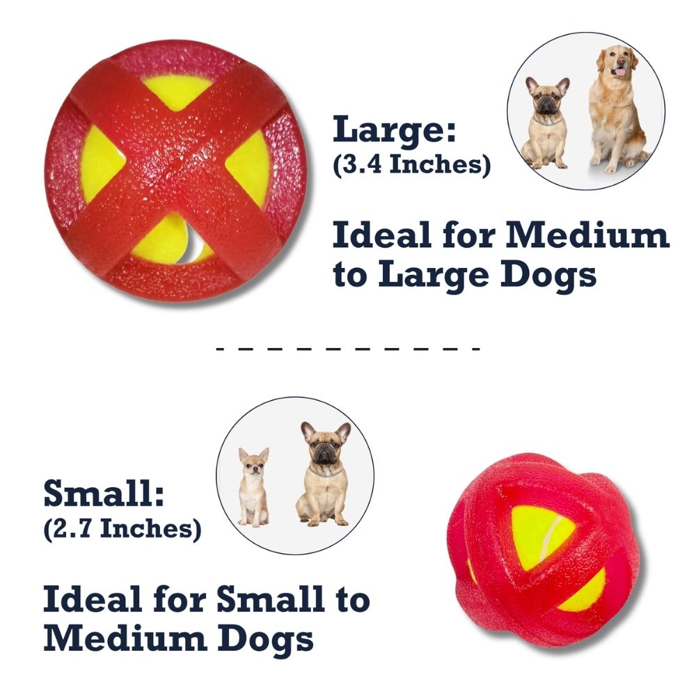 TPR-Coated Agility Tennis Ball Dog Toy – Pet-Safe Play