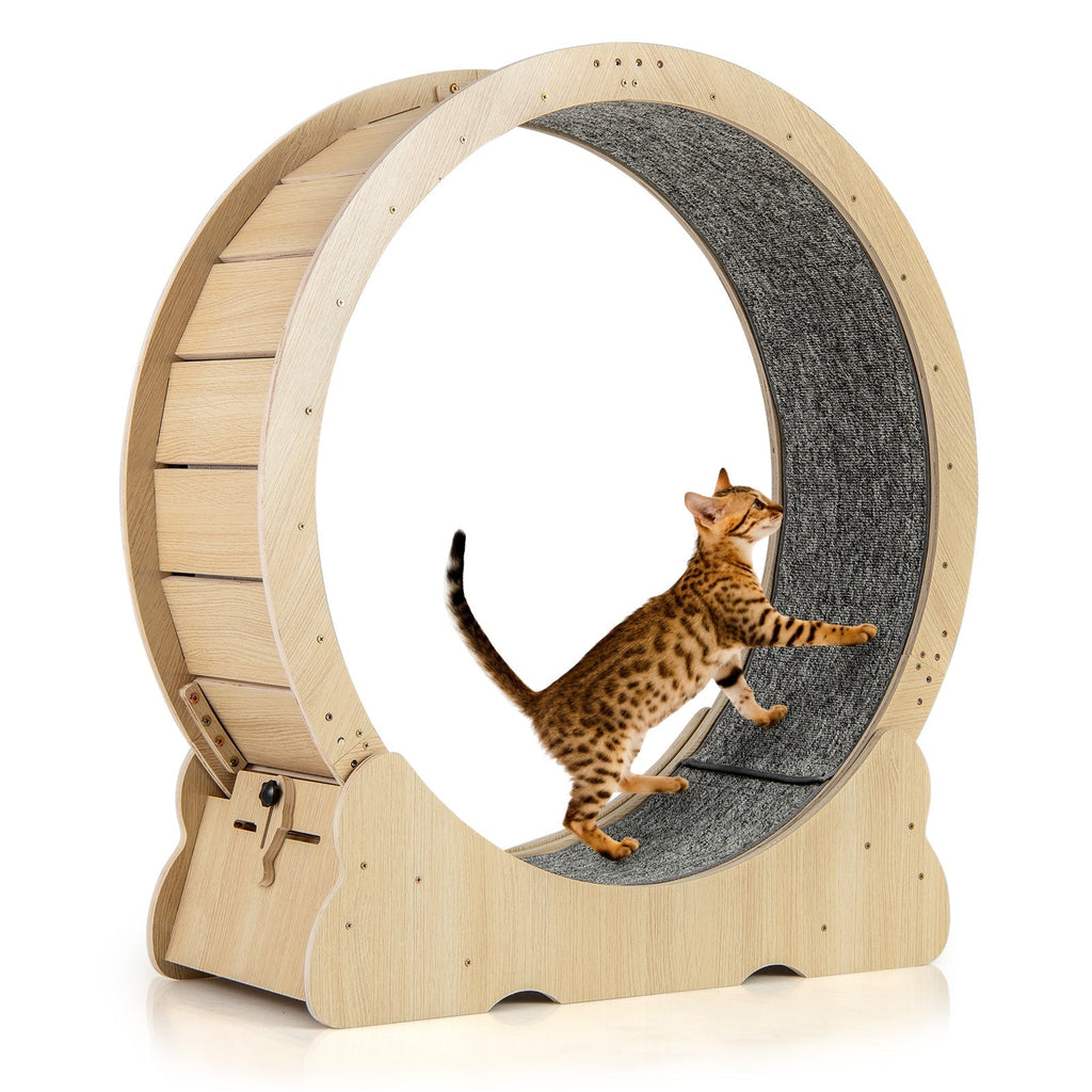 40 Inch Large Cat Exercise Wheel with Lockable Mechanism and Carpeted Runaway for Indoor Cats-Natural