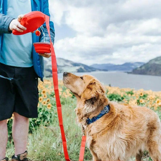 3-in-1 Dog Walking Leash with Water Bottle & Bag Dispenser