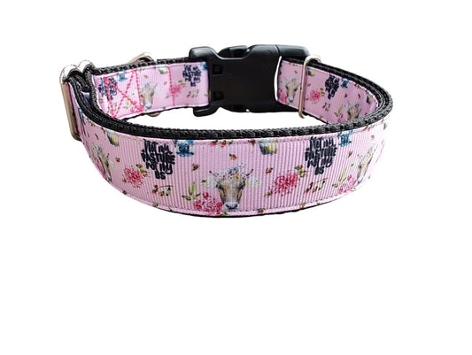 Dog Collar Not My Pasture BS Cow Sarcastic Farm Humor Nylon Band