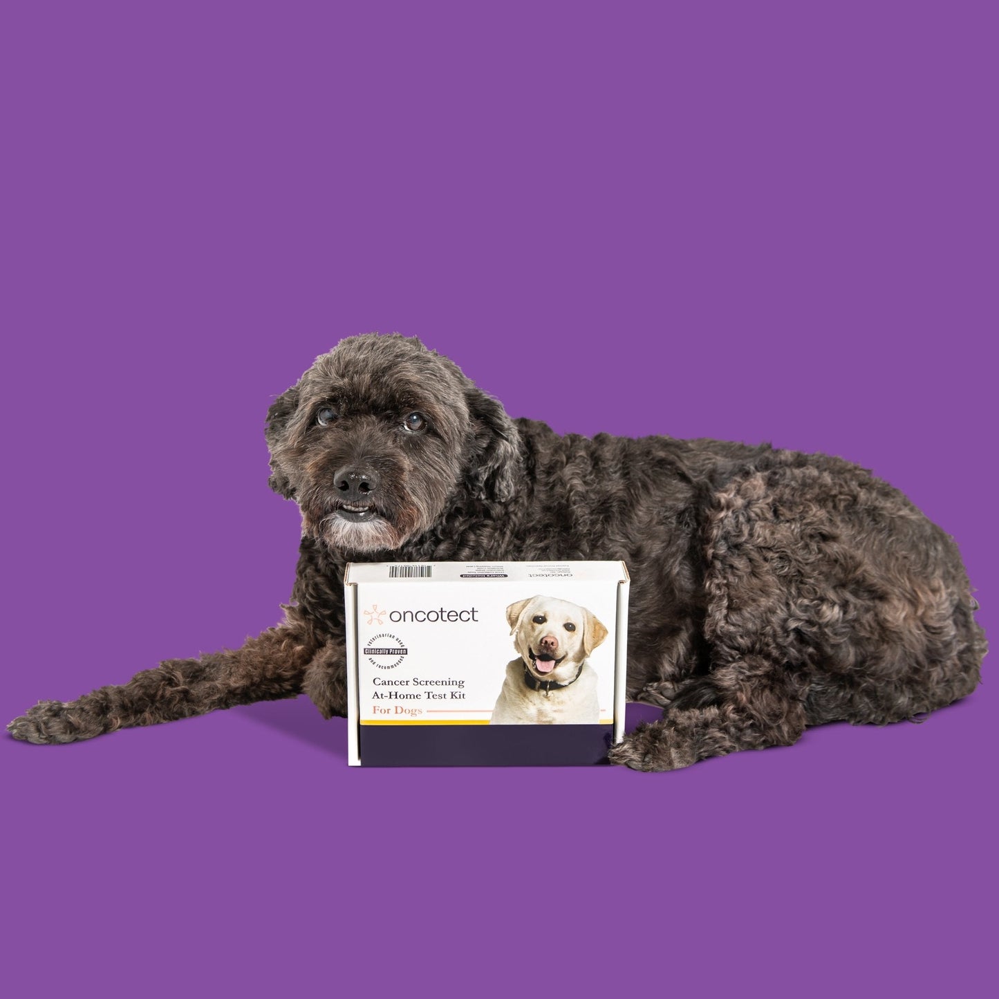 Luxury Pet Essentials - Purrfect Pet Kingdom™