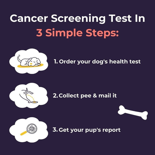 Dog Health Test Kit Oncotect At-Home Early Cancer Screening