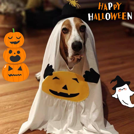 Dog Cat Halloween Pumpkin Ghost Costume Funny Cute Pet Outfit Medium - Detail Angle 2 | Majestic Pet Kingdom