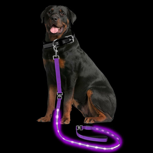 PetIsay Light-Up Dog Leash 6FT USB-C Rechargeable Waterproof White - Main Feature View | Majestic Pet Kingdom