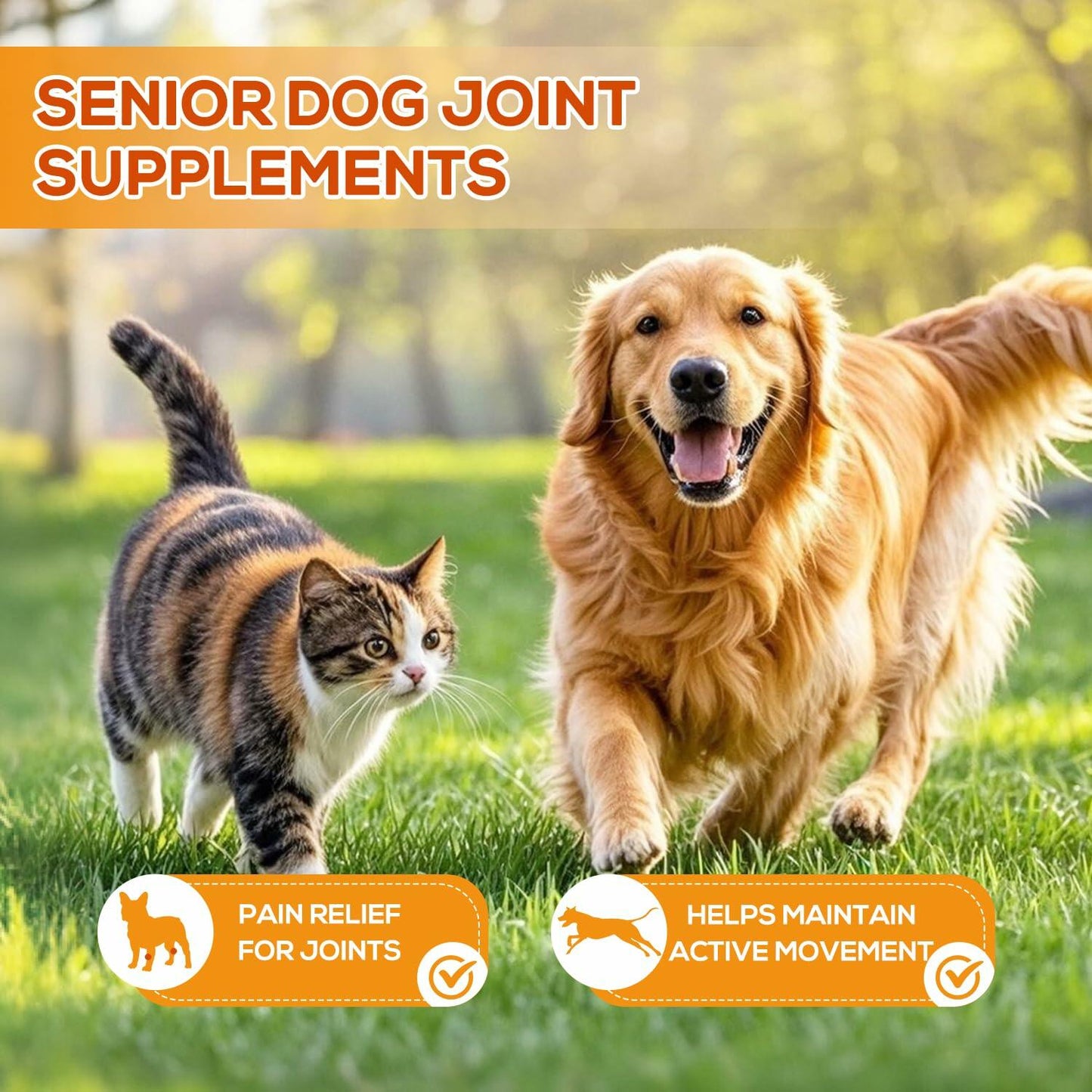 PetriTailor Turmeric Curcumin Dog Supplement Hip & Joint Support 60 Tablets