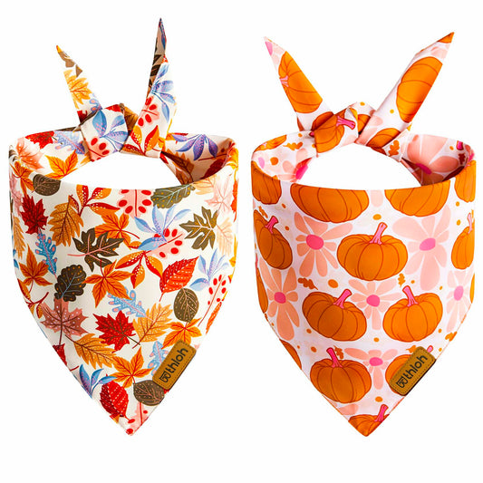 THLOH Fall Dog Bandanas 2 Pack Reversible Pumpkin Leaf Orange Large - Main Feature View | Majestic Pet Kingdom