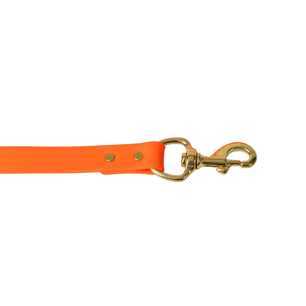 Heavy-Duty Waterproof Dog Leash - Orange Pet Lead