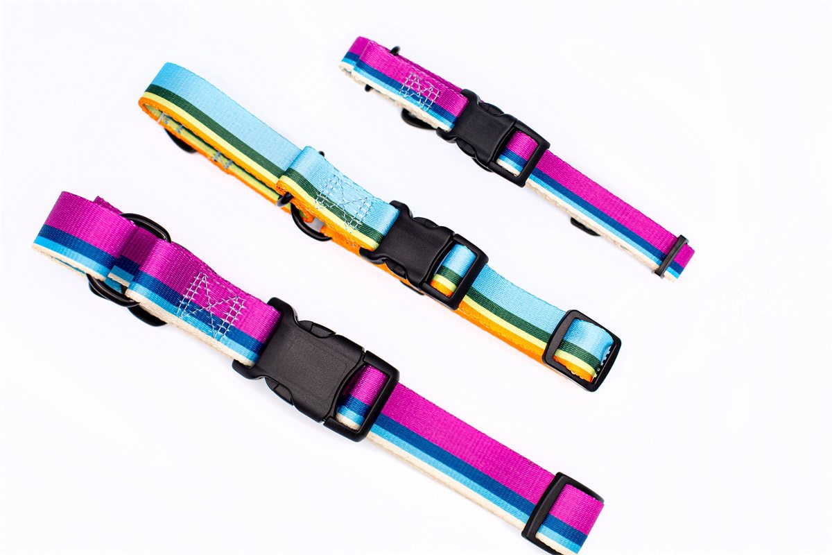 Companion Collar Martingale All-Nylon Outdoor No-Slip Training - Detail Angle 5 | Majestic Pet Kingdom