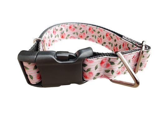 Dog Collar Sweet Peach Summer Fruit Botanical Patterned Nylon