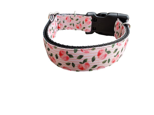 Dog Collar Sweet Peach Summer Fruit Botanical Patterned Nylon
