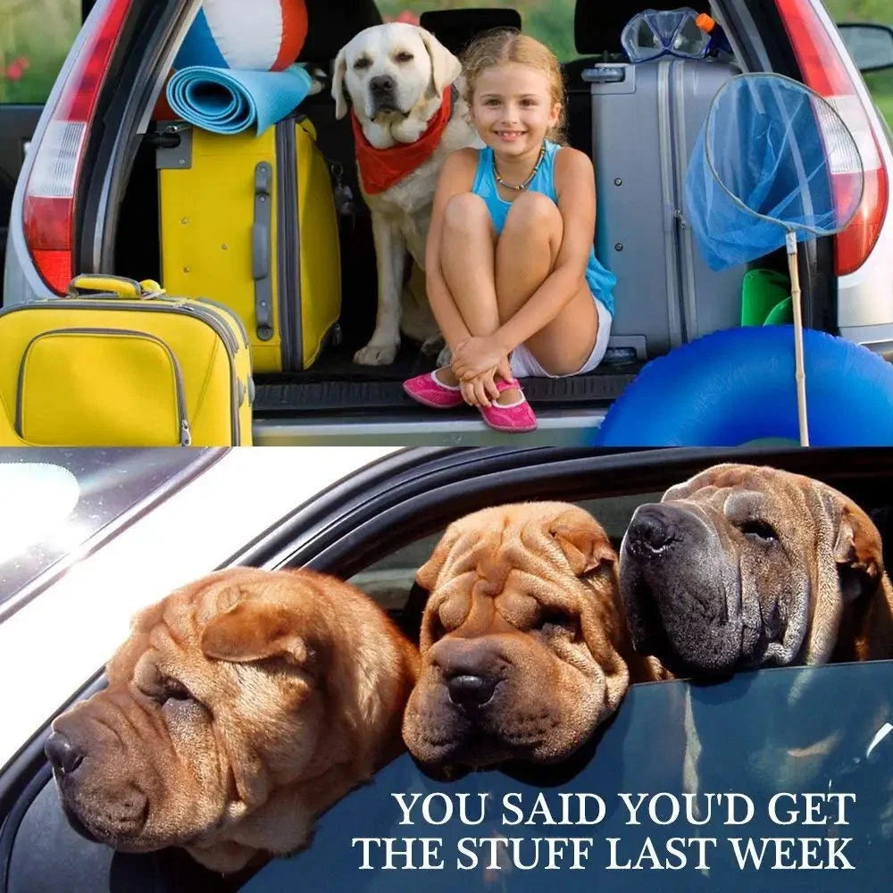 Majestic Pet Kingdom - Adjustable Pet Car Seat Belt Harness | Dog and Cat Safety Strap View 8