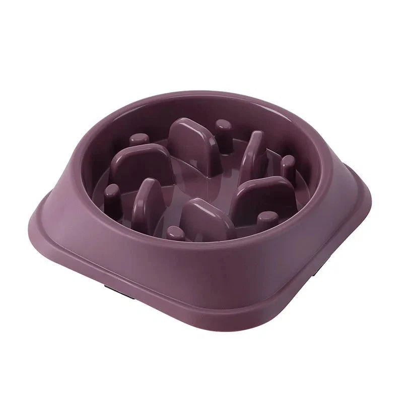 Pet Cat Dog Slow Feeder Bowl | Anti-Choking Non-Slip Maze Feeding Dish