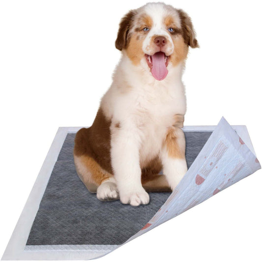 dog-pee-pads-charcoal-ultra-absorbent-odor-eliminating-55g-luxury-view-1 | Majestic Pet Kingdom