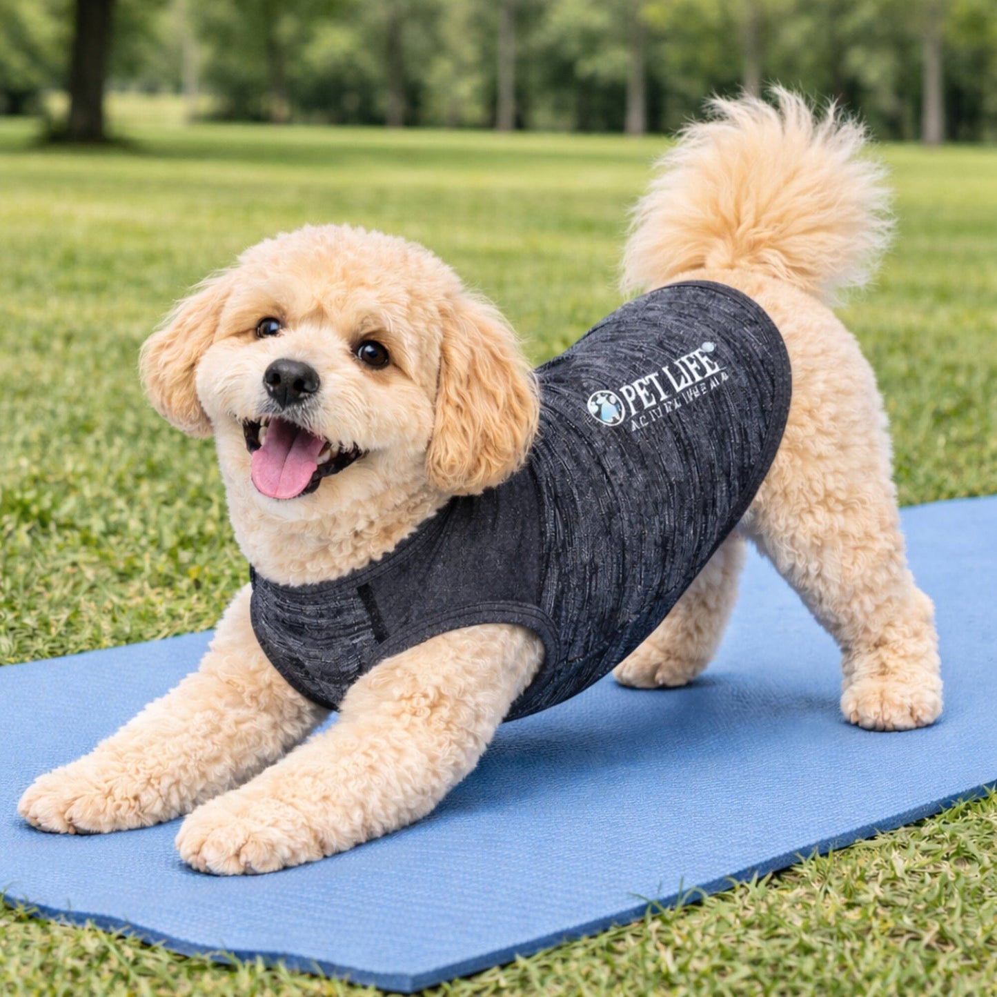 Pet Life ® Active 'Aero-Pawlse' Quick-Dry and 4-Way-Stretch Yoga Fitness Dog T-Shirt Tank Top
