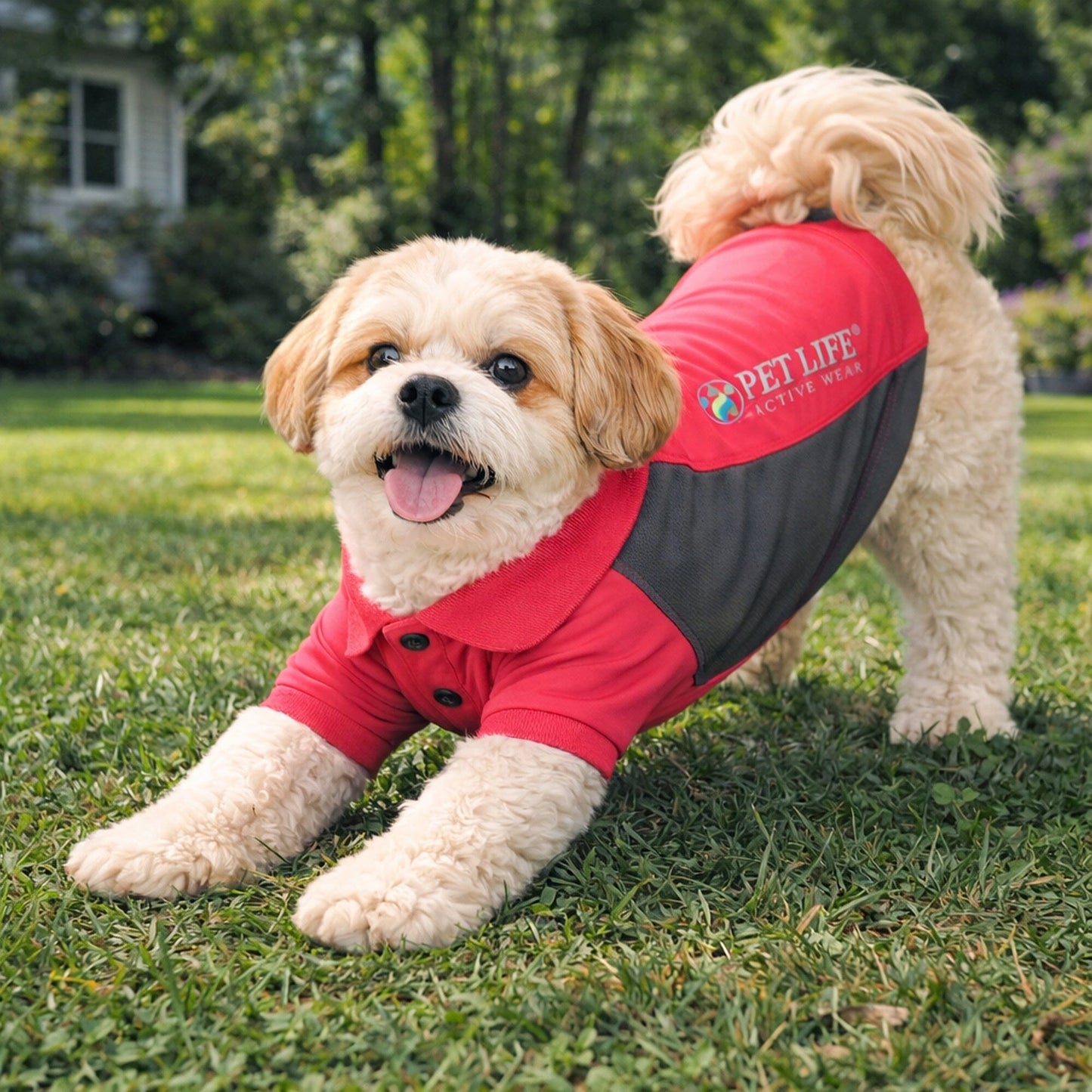 Pet Life ® Active 'Barko Pawlo' Relax-Stretch Quick-Drying Performance Dog Polo T-Shirt