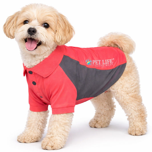 dog-polo-shirt-quick-drying-stretch-active-permance-top-luxury-view-1 | Majestic Pet Kingdom