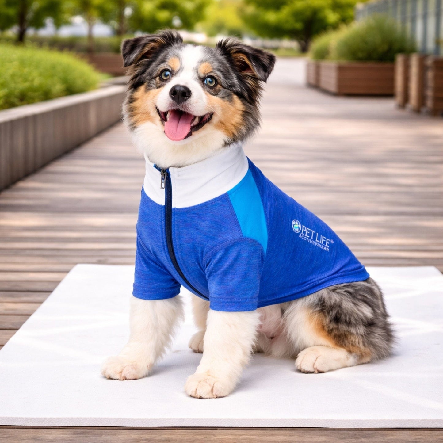 Pet Life ® Active 'Chewitt Wagassy' 4-Way-Stretch Yoga Fitness Long-Sleeve Dog T-Shirt