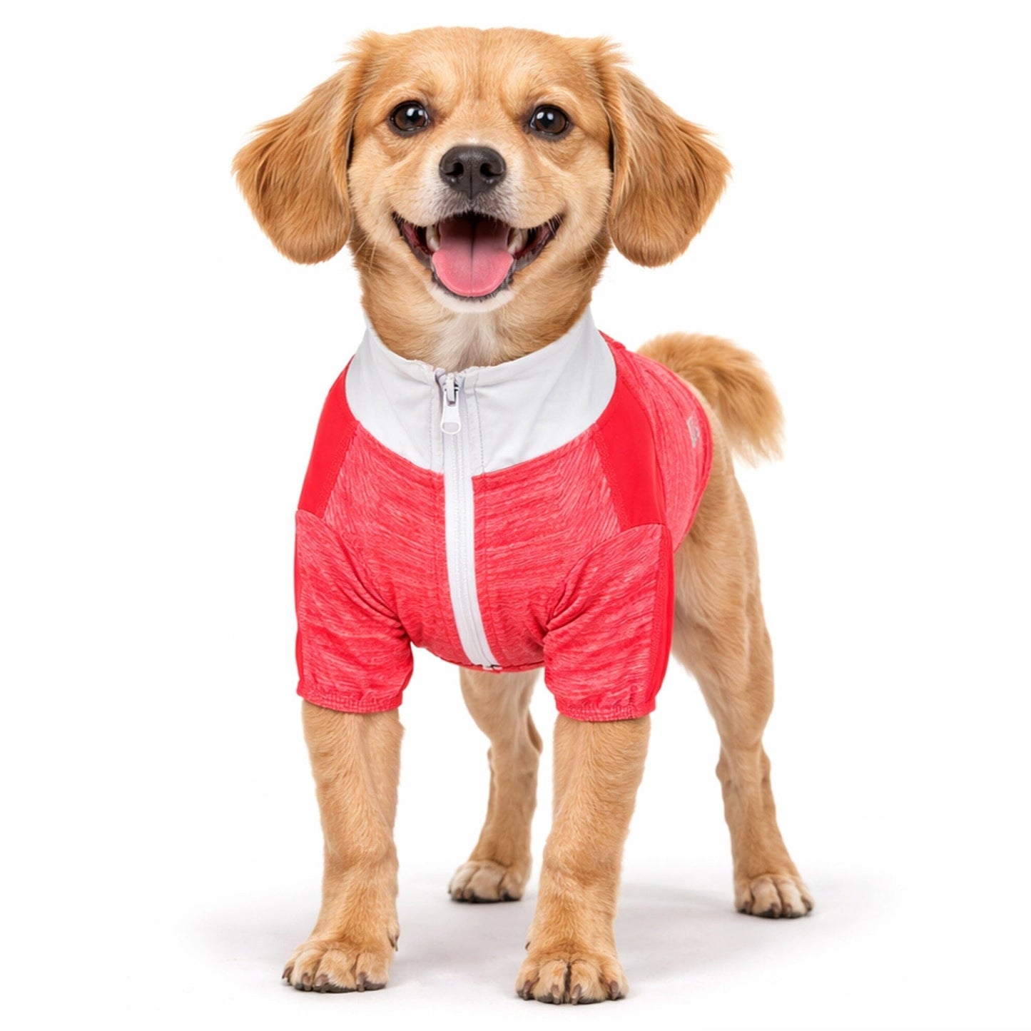 Pet Life ® Active 'Chewitt Wagassy' 4-Way-Stretch Yoga Fitness Long-Sleeve Dog T-Shirt