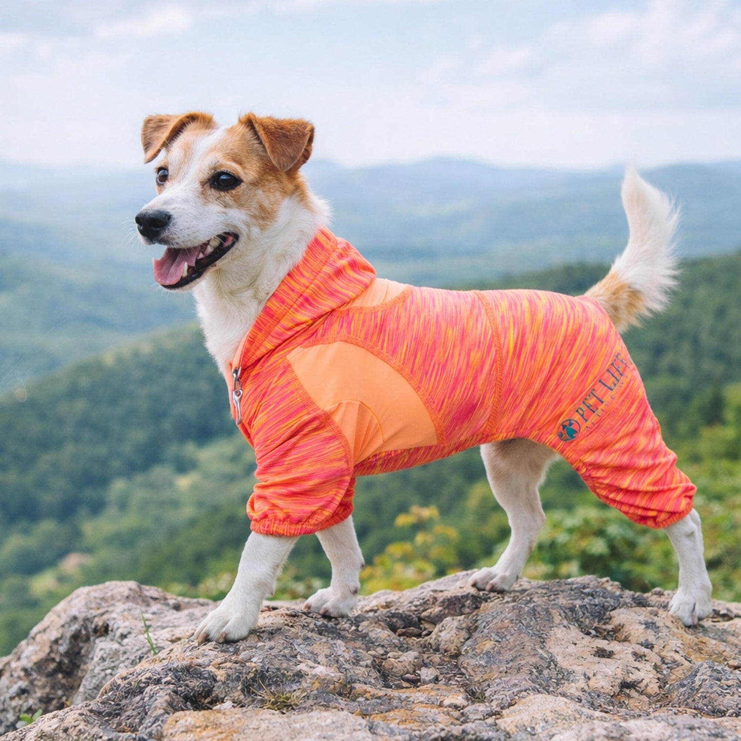 Pet Life ® Active 'Downward Dog' 4-Way-Stretch Fitness Yoga Dog Tracksuit Hoodie