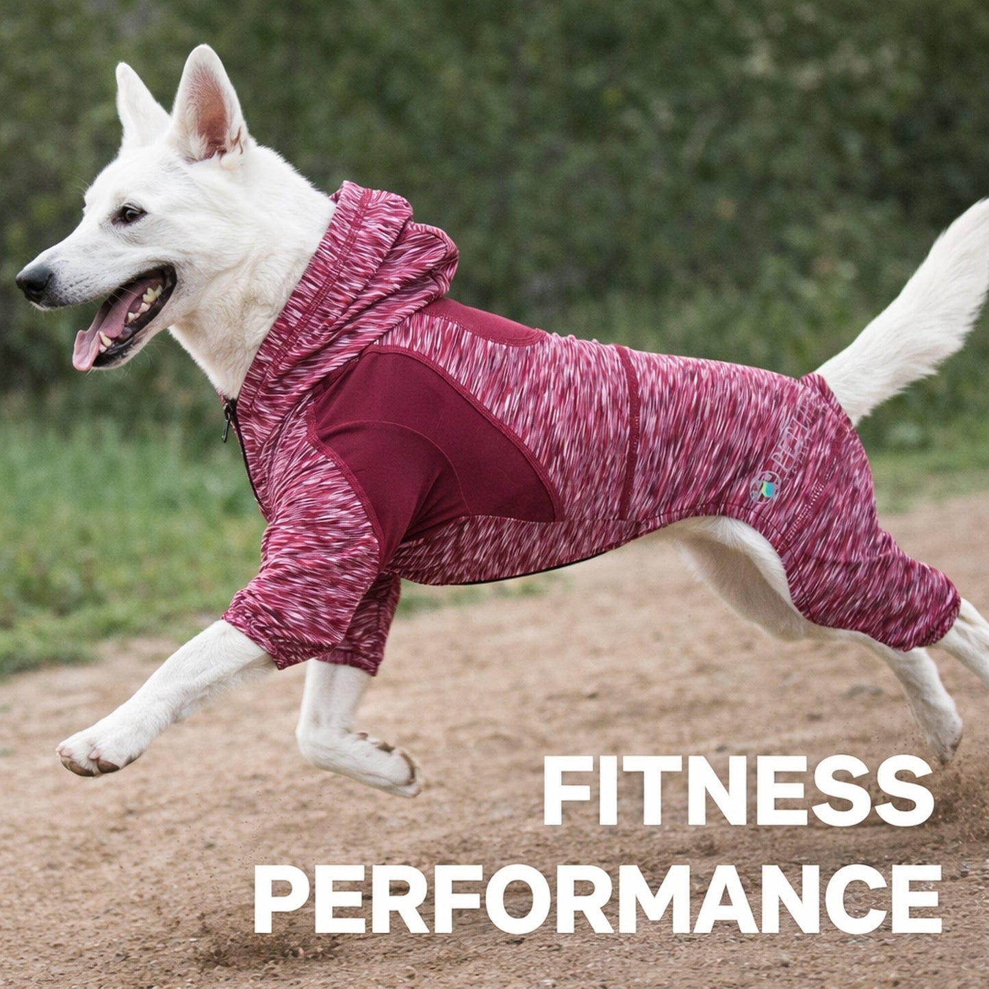 Pet Life ® Active 'Downward Dog' 4-Way-Stretch Fitness Yoga Dog Tracksuit Hoodie