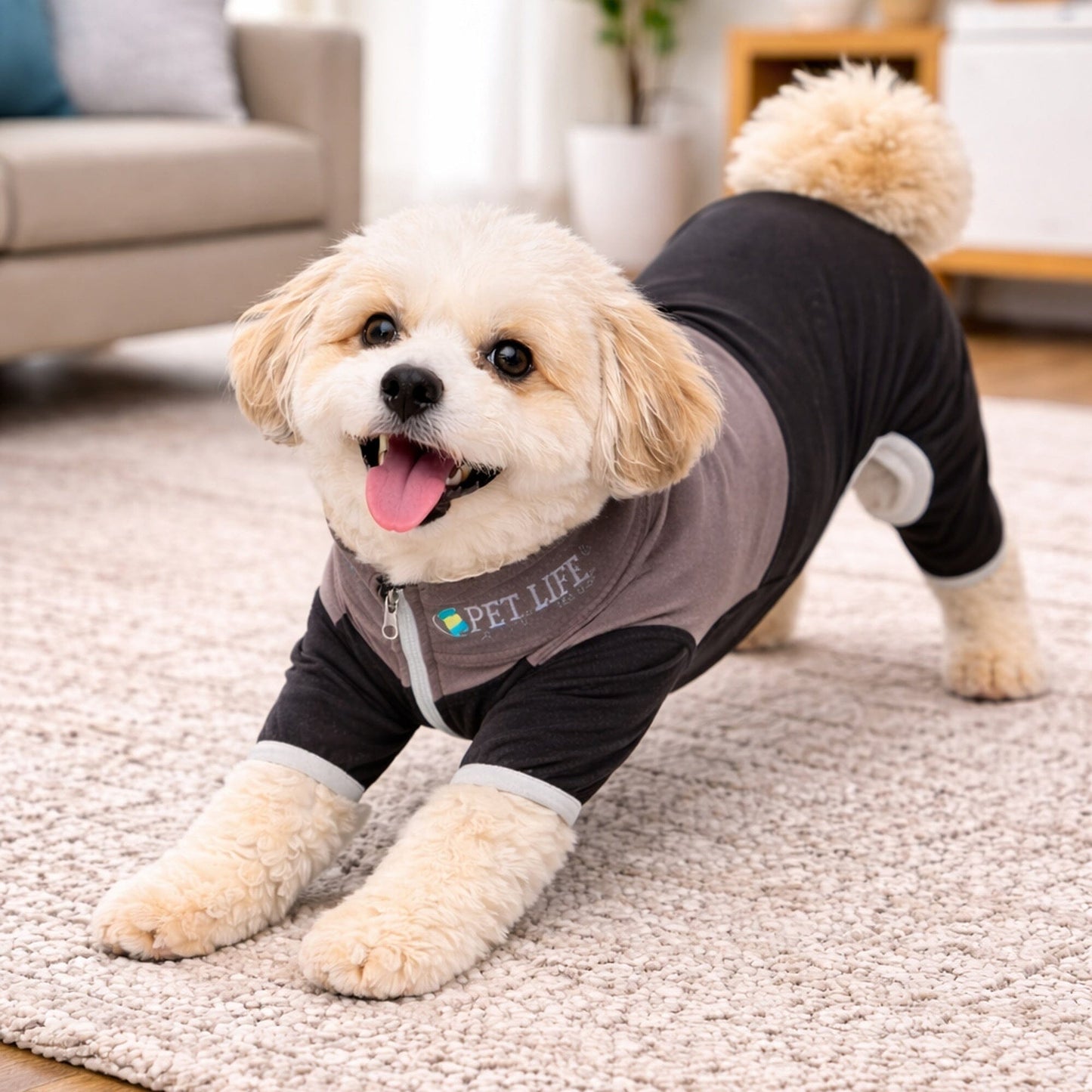 Pet Life ®  Active 'Embarker' 4-Way Stretch Fitness Yoga Full Body Dog Tracksuit
