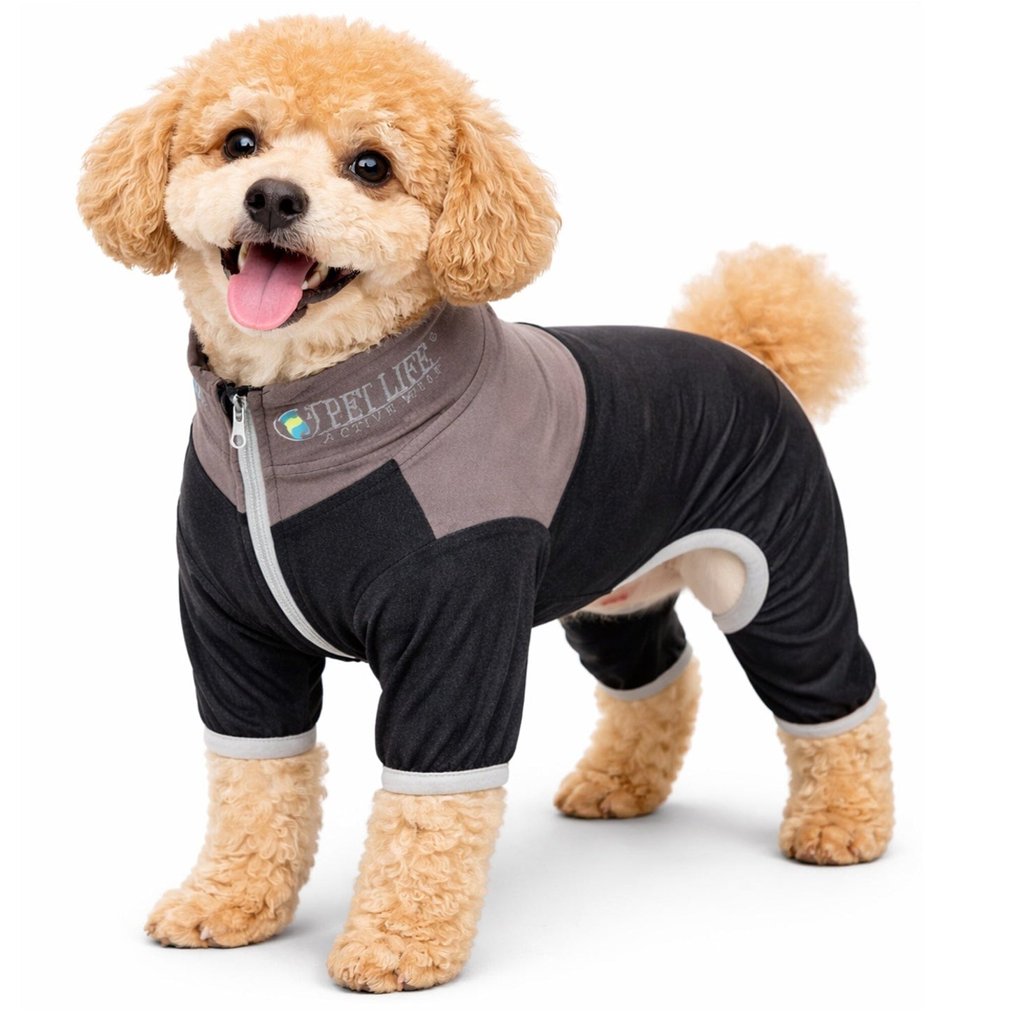 Pet Life ®  Active 'Embarker' 4-Way Stretch Fitness Yoga Full Body Dog Tracksuit