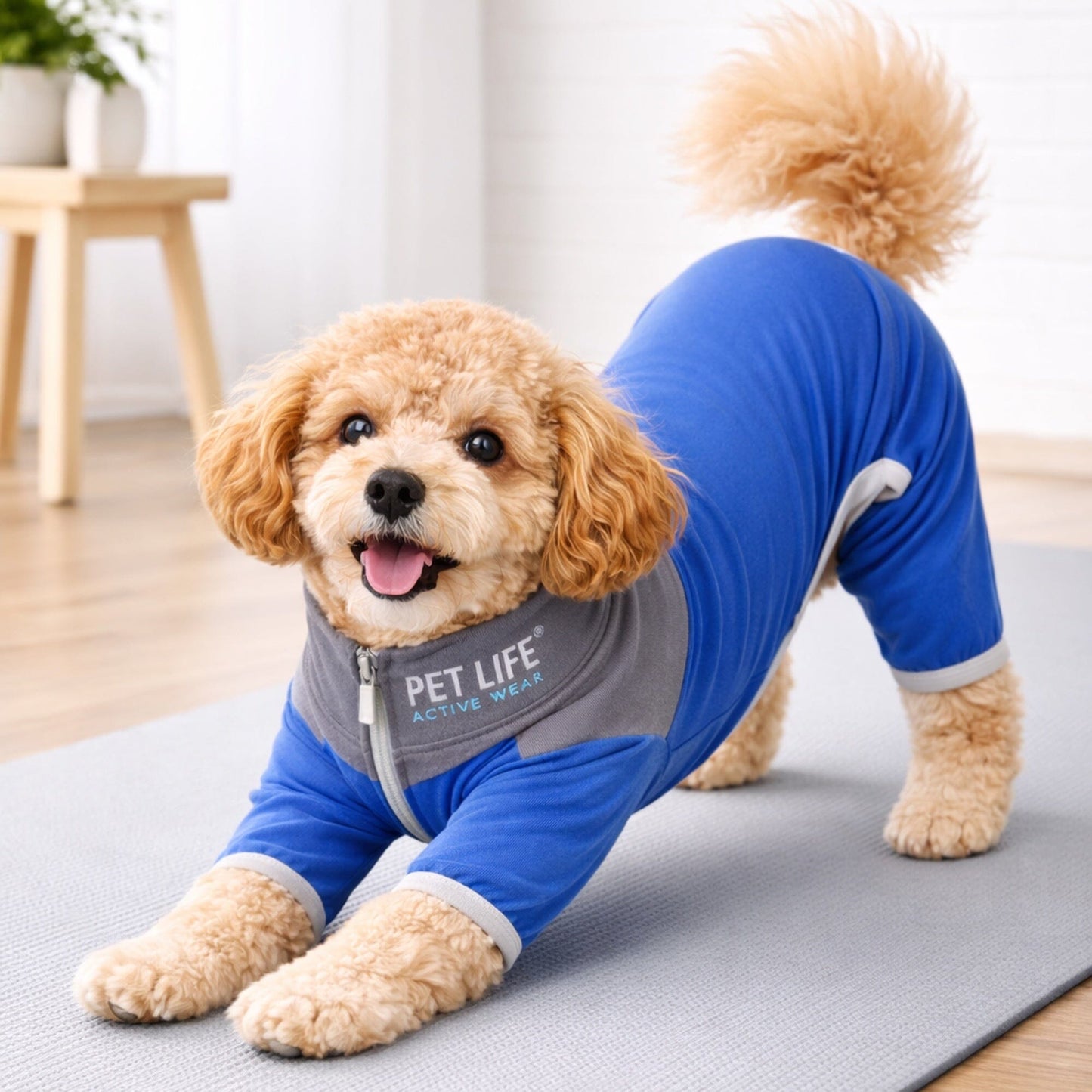 Pet Life ®  Active 'Embarker' 4-Way Stretch Fitness Yoga Full Body Dog Tracksuit