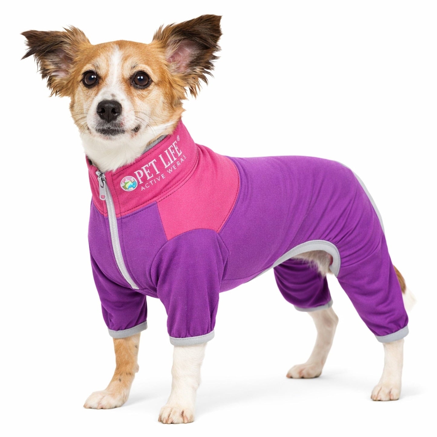 Pet Life ®  Active 'Embarker' 4-Way Stretch Fitness Yoga Full Body Dog Tracksuit