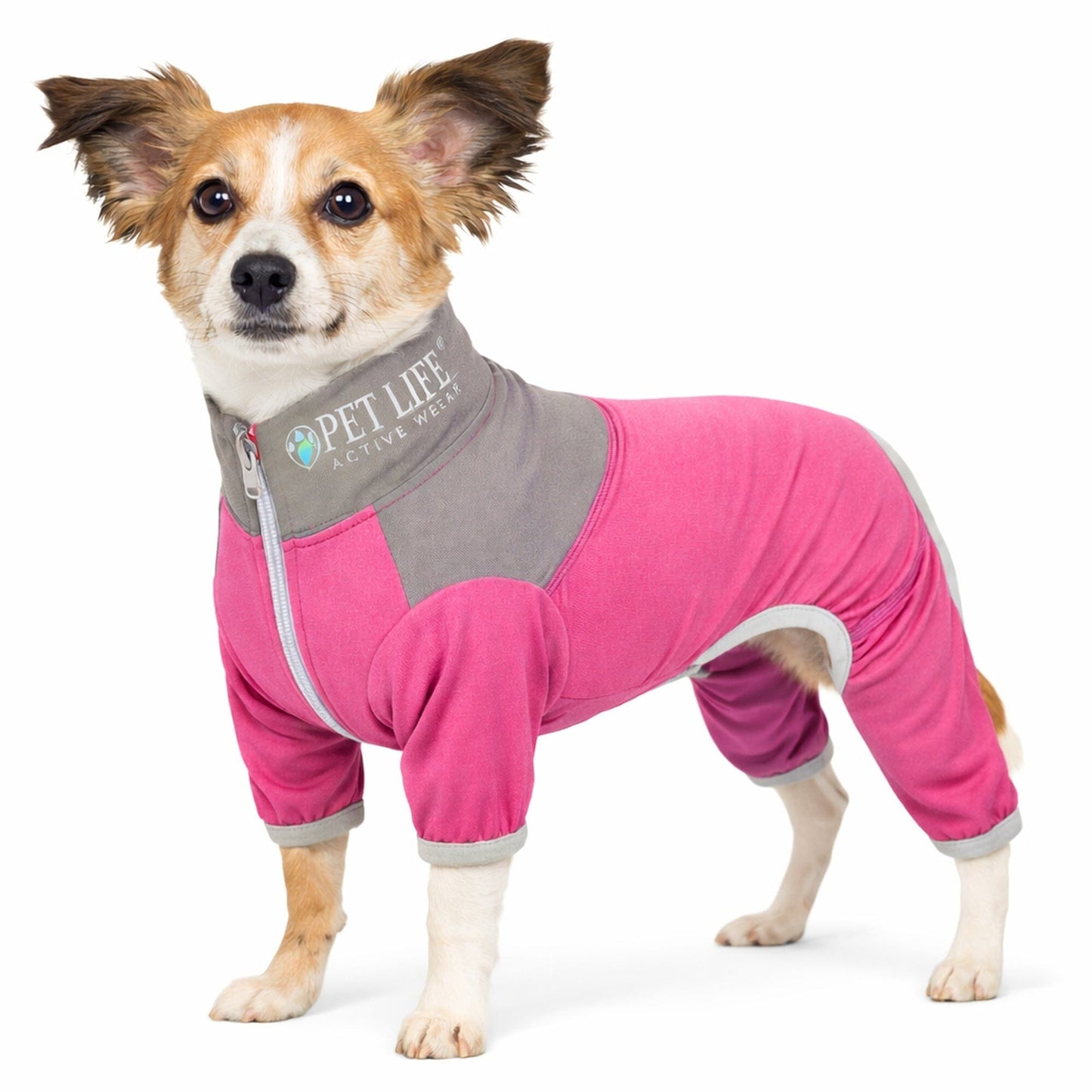 Pet Life ®  Active 'Embarker' 4-Way Stretch Fitness Yoga Full Body Dog Tracksuit