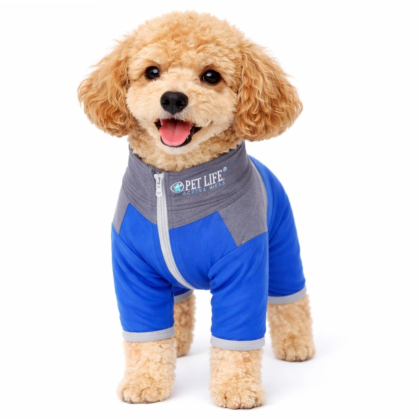 Pet Life ®  Active 'Embarker' 4-Way Stretch Fitness Yoga Full Body Dog Tracksuit