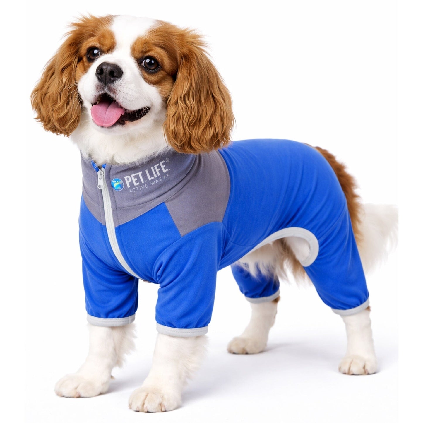 Pet Life ®  Active 'Embarker' 4-Way Stretch Fitness Yoga Full Body Dog Tracksuit