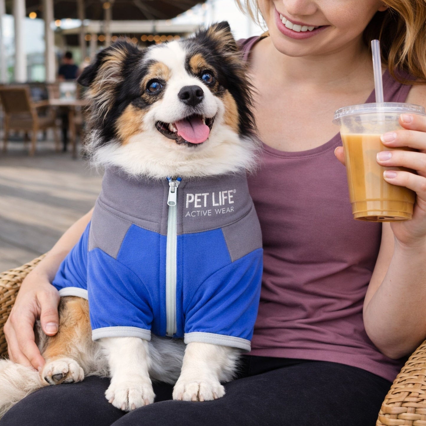 Pet Life ®  Active 'Embarker' 4-Way Stretch Fitness Yoga Full Body Dog Tracksuit