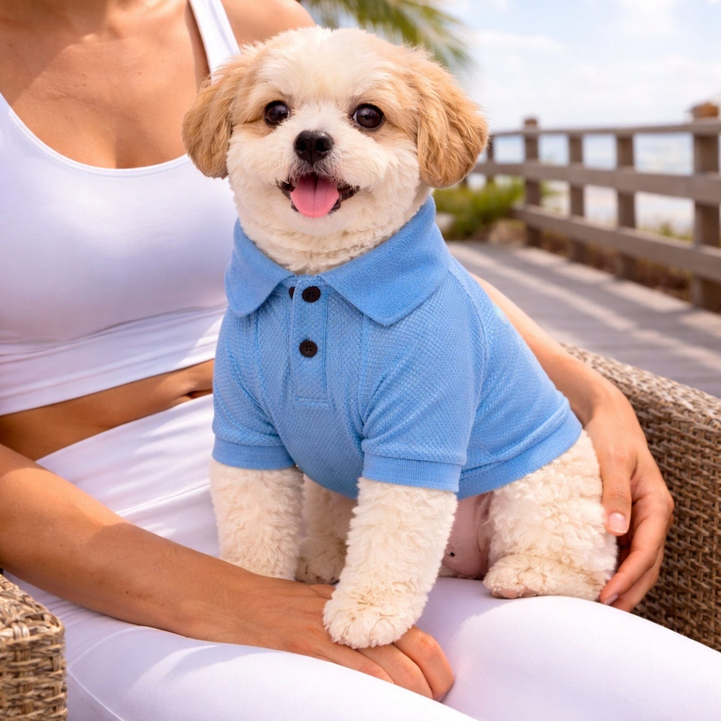 Pet Life ® Active 'Fur-Flex' Stretch and Quick-Dry Anti-Odor Fitness Yoga Dog Polo T-Shirt