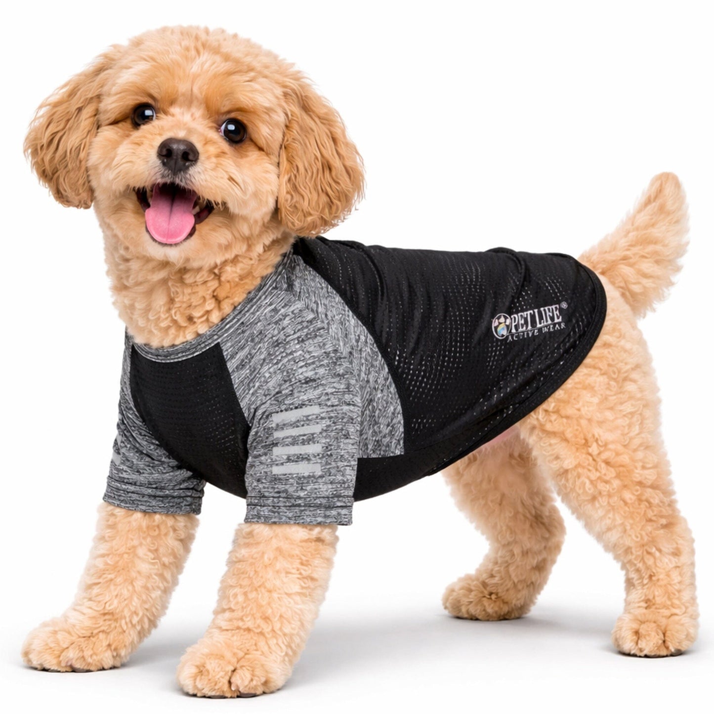 Pet Life ® Active 'Hybreed' 4-Way-Stretch Fitness Performance Dog T-Shirt