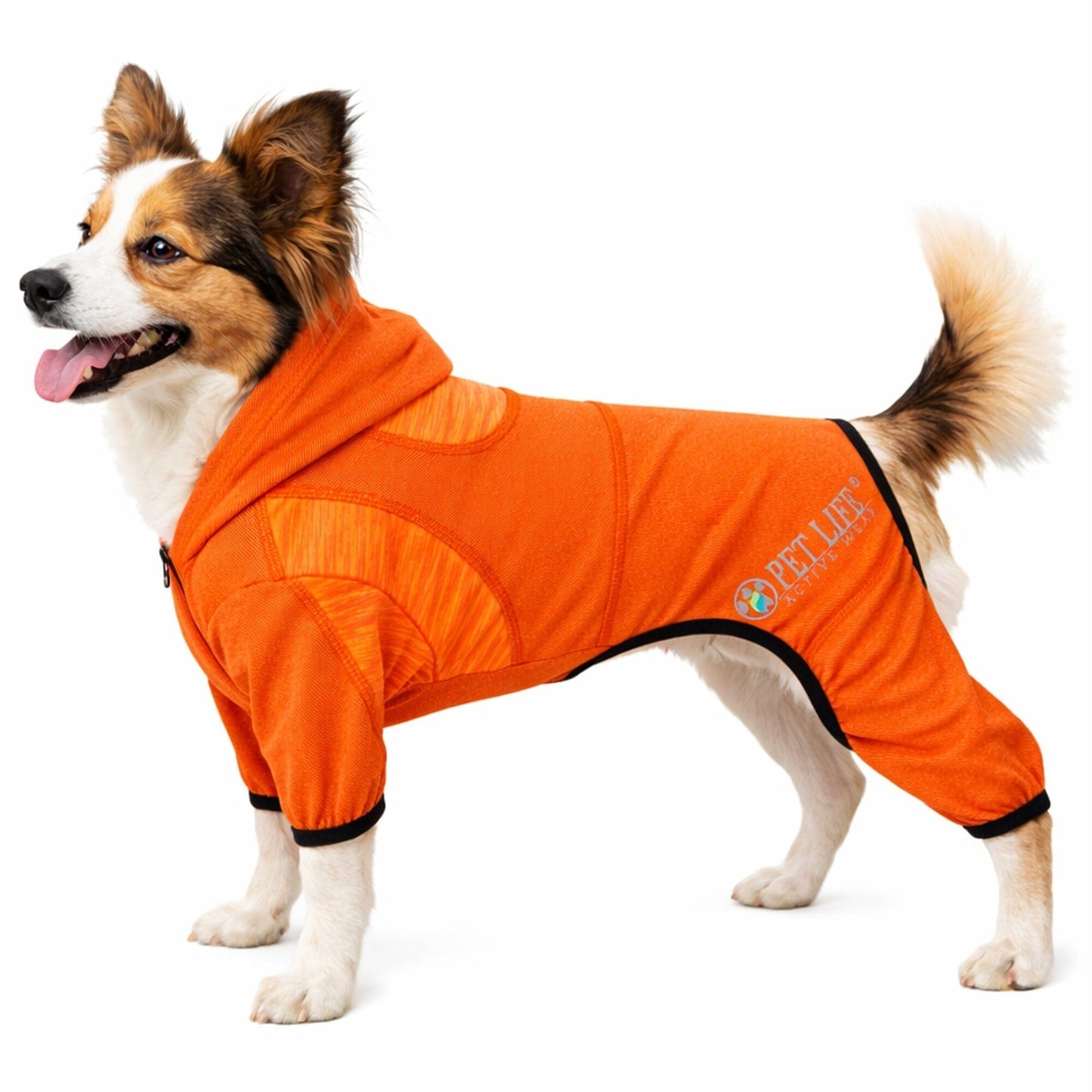 Pet Life ® Active 'Pawsterity' Mediumweight 4-Way-Stretch Yoga Fitness Dog Tracksuit Hoodie