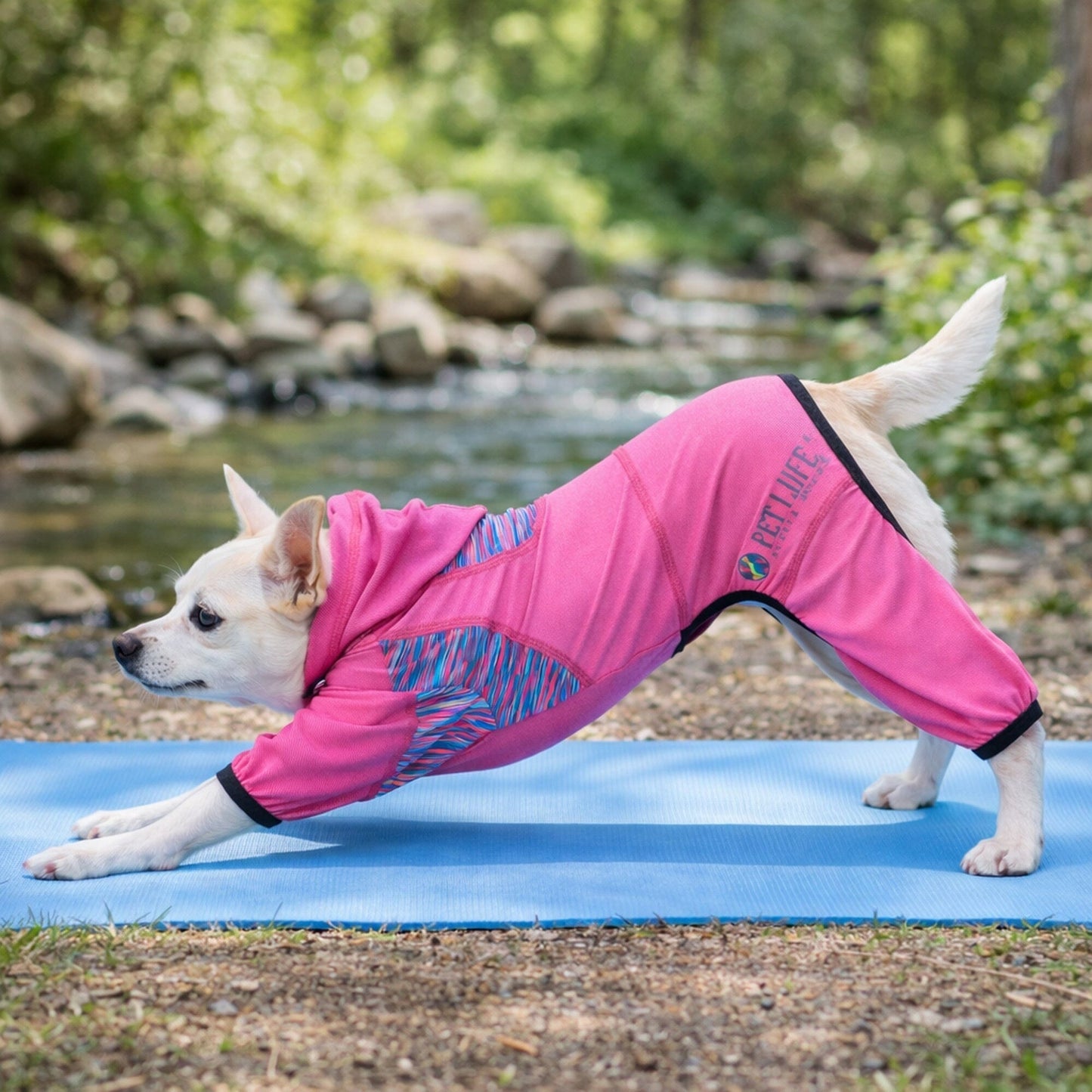 Pet Life ® Active 'Pawsterity' Mediumweight 4-Way-Stretch Yoga Fitness Dog Tracksuit Hoodie