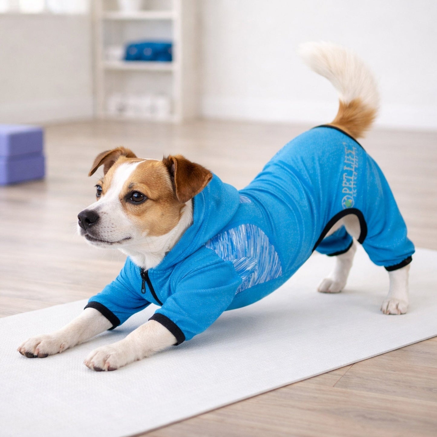 Pet Life ® Active 'Pawsterity' Mediumweight 4-Way-Stretch Yoga Fitness Dog Tracksuit Hoodie