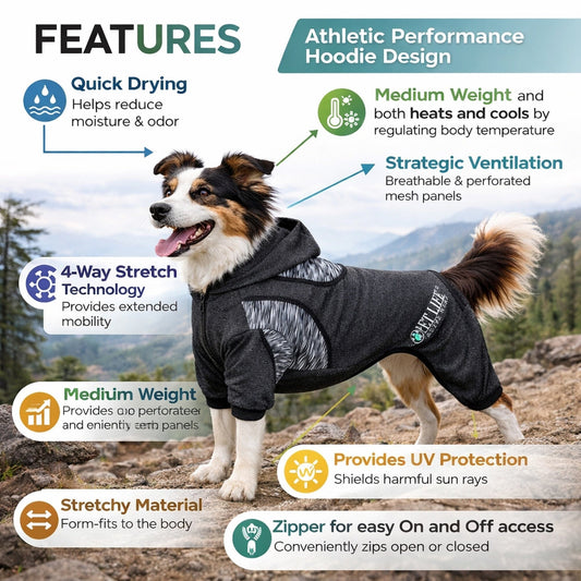 dog-tracksuit-hoodie-mediumweight-4-way-stretch-yoga-onesie-luxury-view-2 | Majestic Pet Kingdom