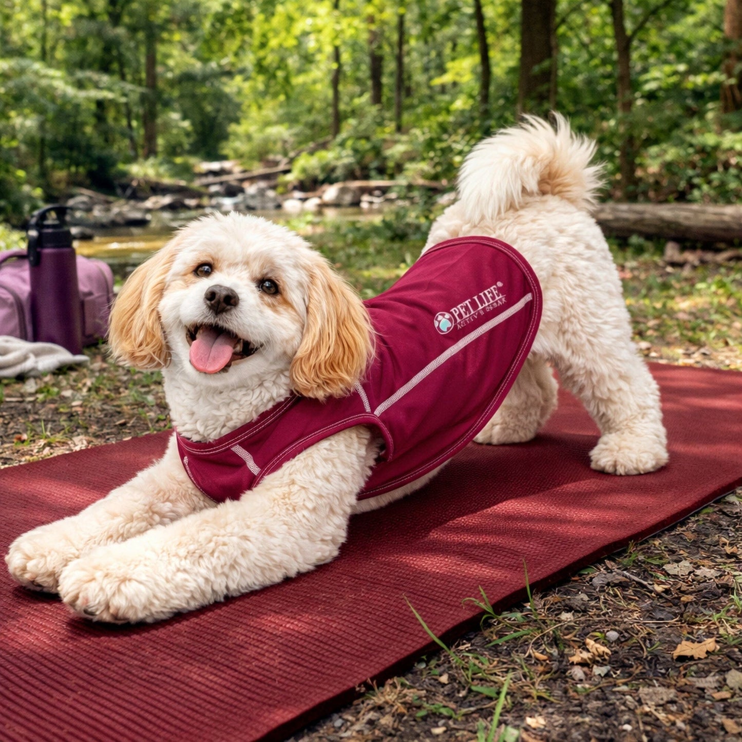 Pet Life ®  Active 'Racerbark' 4-Way-Stretch Yoga Fitness Dog T-Shirt Tank Top