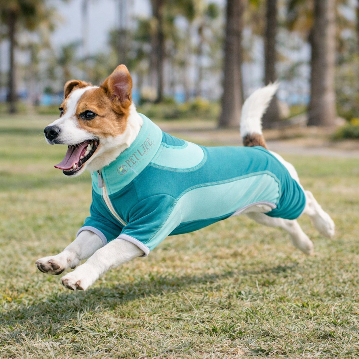 Pet Life ® Active 'Warm-Pup' Stretchy and Quick-Drying Fitness Dog Yoga Warm-Up Tracksuit