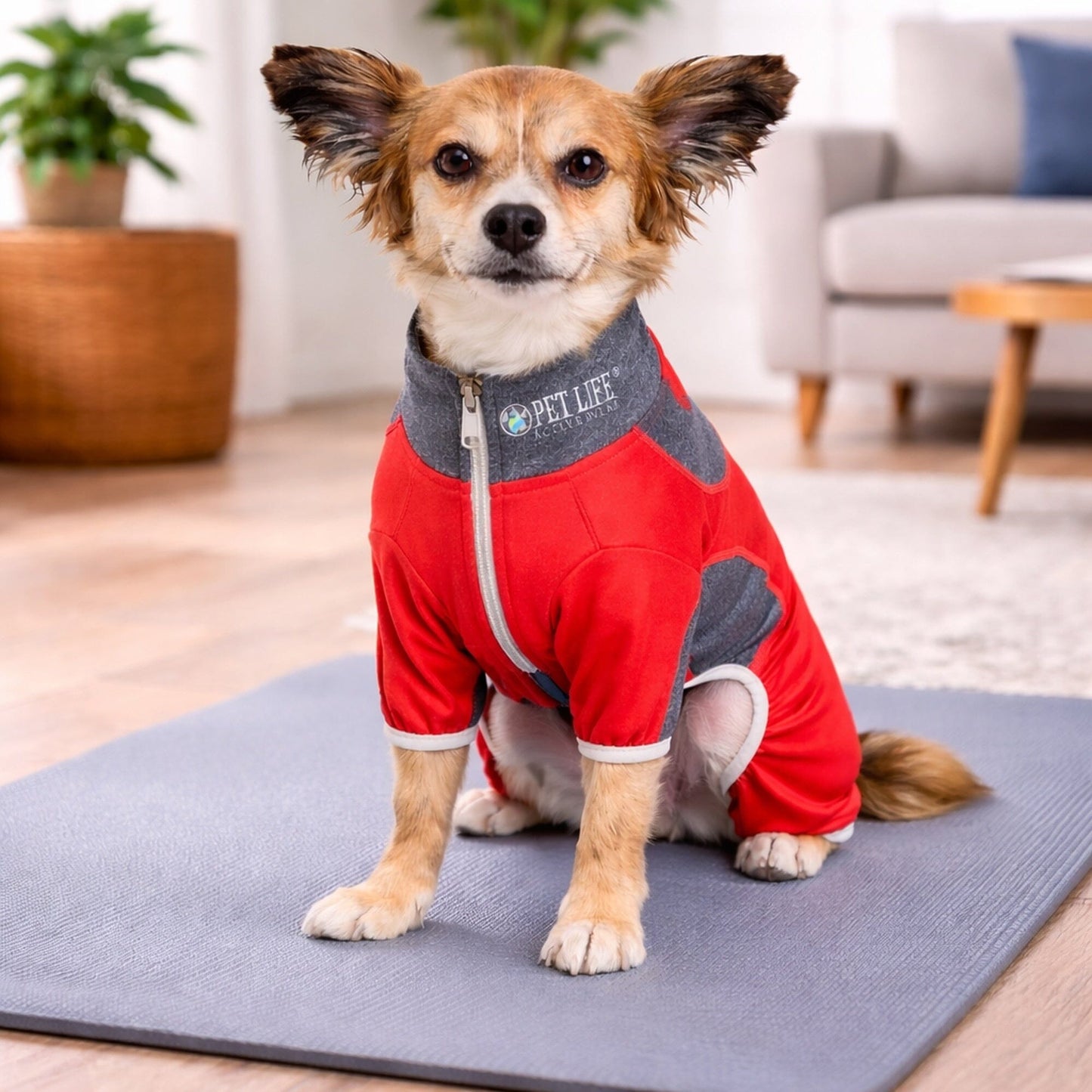 Pet Life ® Active 'Warm-Pup' Stretchy and Quick-Drying Fitness Dog Yoga Warm-Up Tracksuit