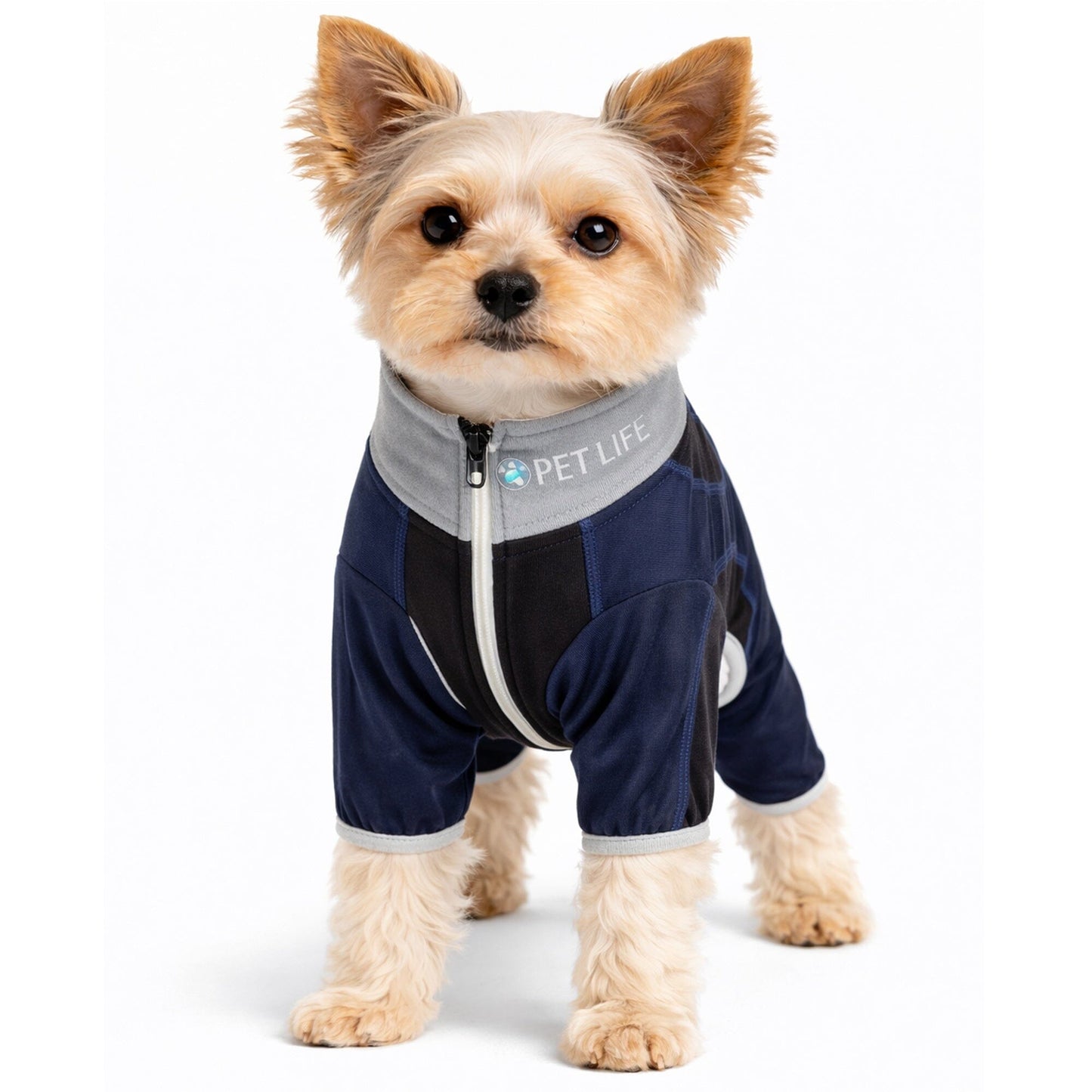 Pet Life ® Active 'Warm-Pup' Stretchy and Quick-Drying Fitness Dog Yoga Warm-Up Tracksuit