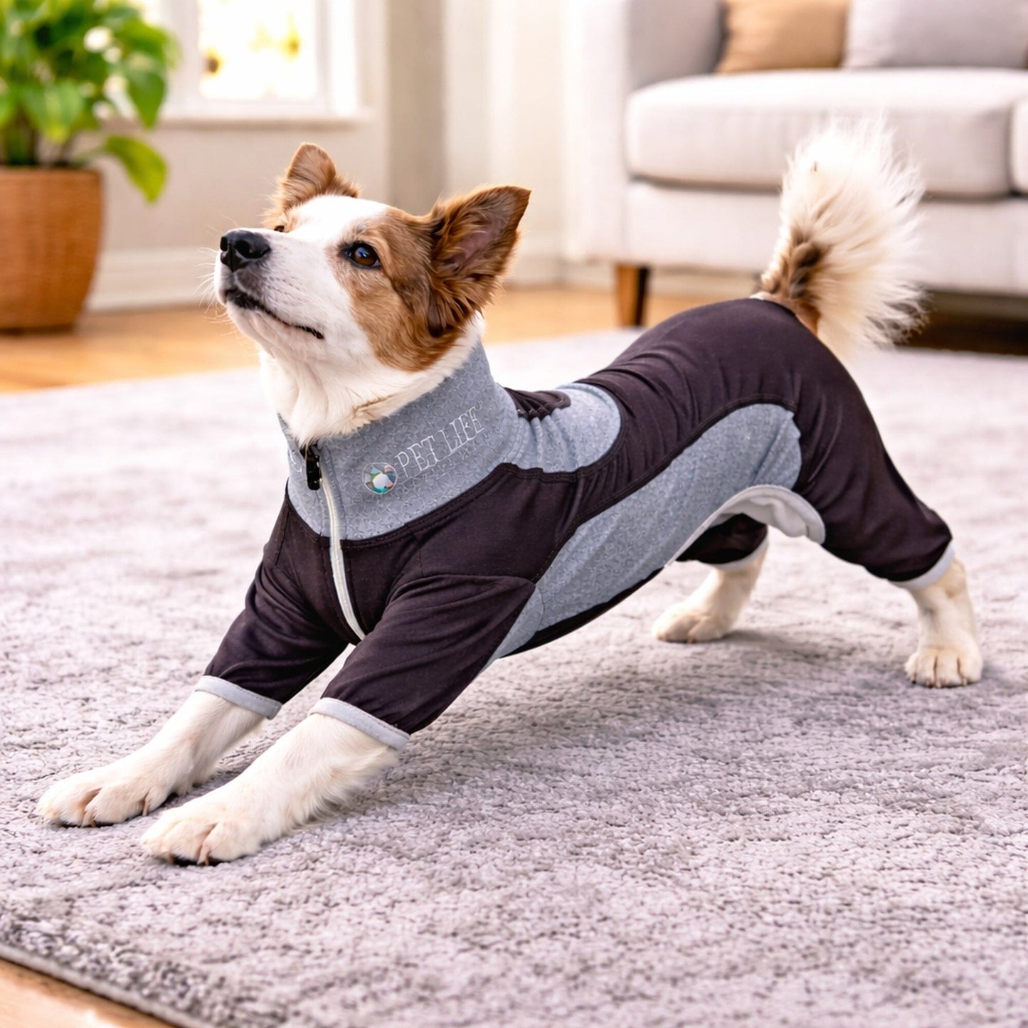 Pet Life ® Active 'Warm-Pup' Stretchy and Quick-Drying Fitness Dog Yoga Warm-Up Tracksuit