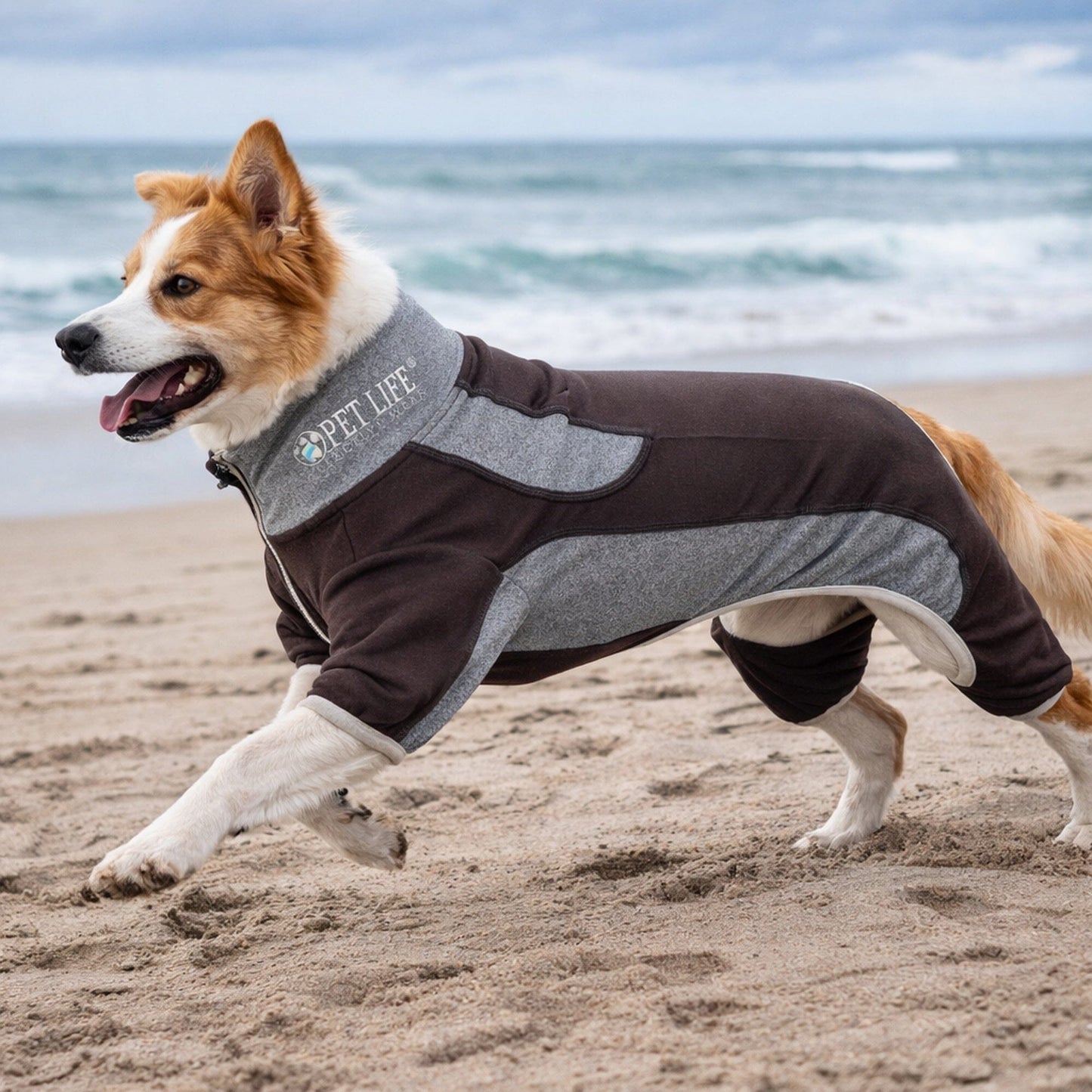 Pet Life ® Active 'Warm-Pup' Stretchy and Quick-Drying Fitness Dog Yoga Warm-Up Tracksuit