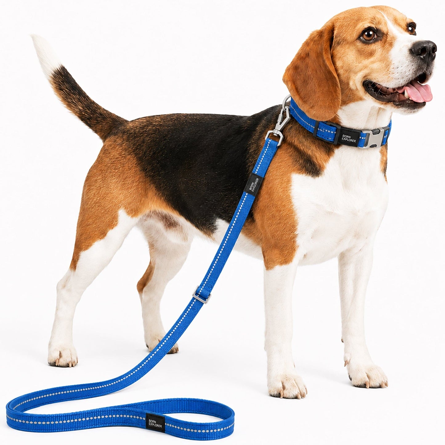 Pet Life ® 'Advent' Outdoor Series 3M Reflective 2-in-1 Durable Martingale Training Dog Leash and Collar