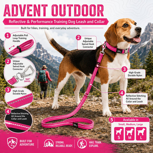 dog-martingale-collar-leash-set-3m-reflective-training-luxury-view-2 | Majestic Pet Kingdom