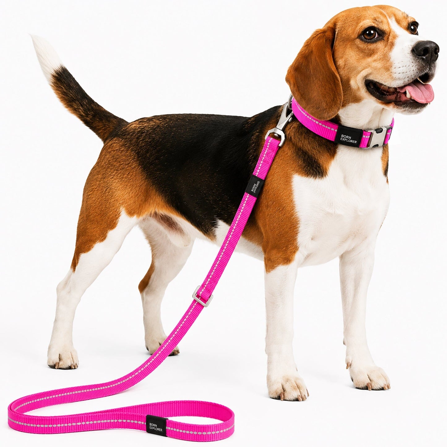 Pet Life ® 'Advent' Outdoor Series 3M Reflective 2-in-1 Durable Martingale Training Dog Leash and Collar